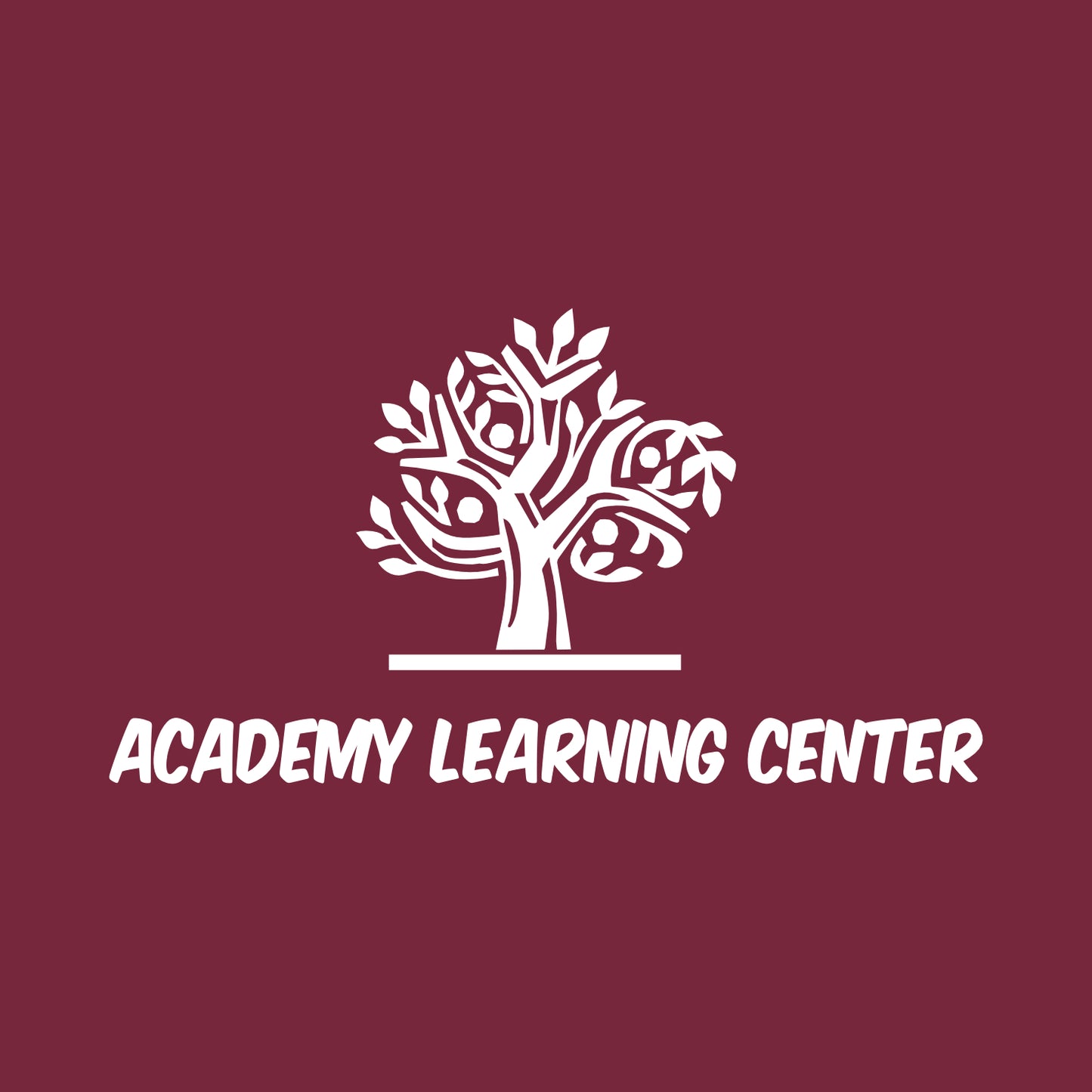 Academy Learning Center Performance 1/4 Zip Sweatshirt