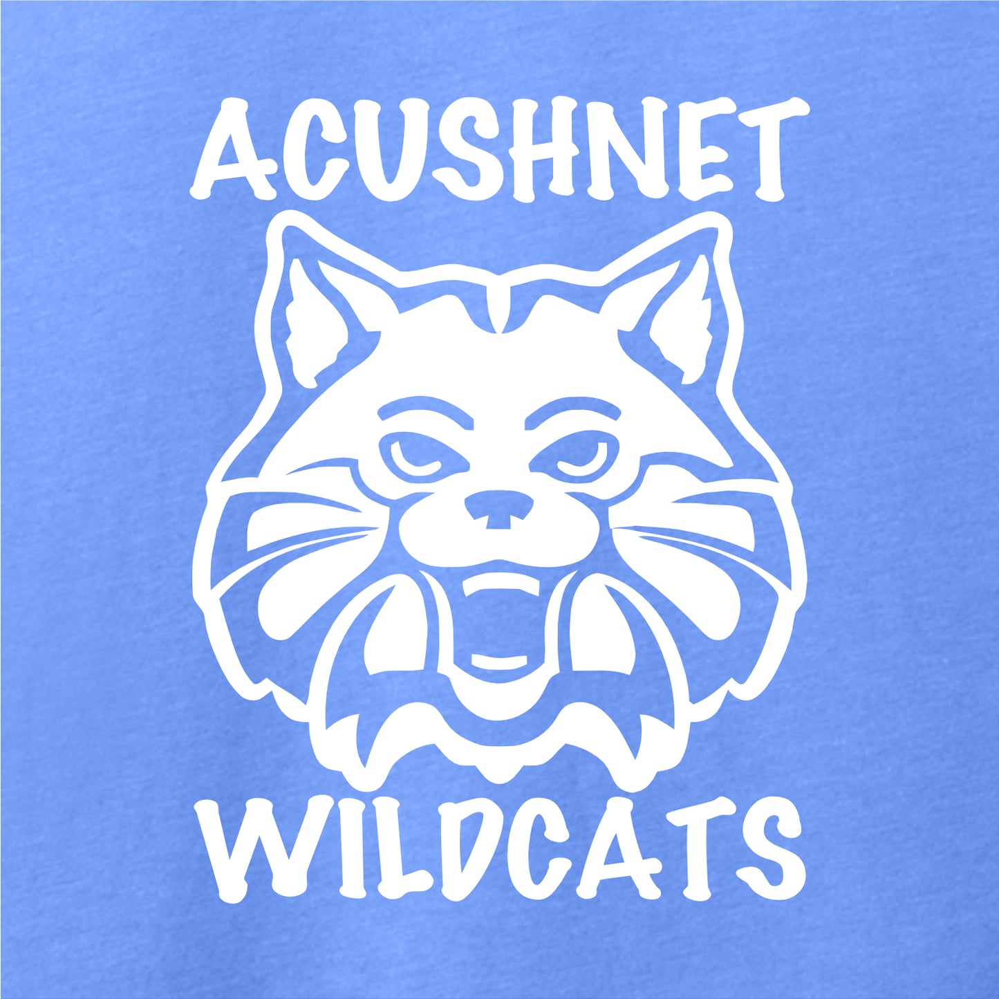 Acushnet Elementary Staff Ladies Perfect Blend CVC Long Sleeve Tee