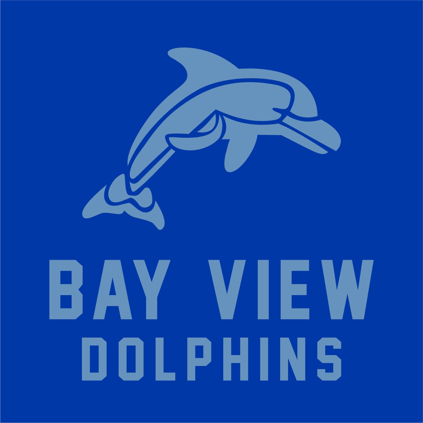 Bay View Elementary Hooded Jacket