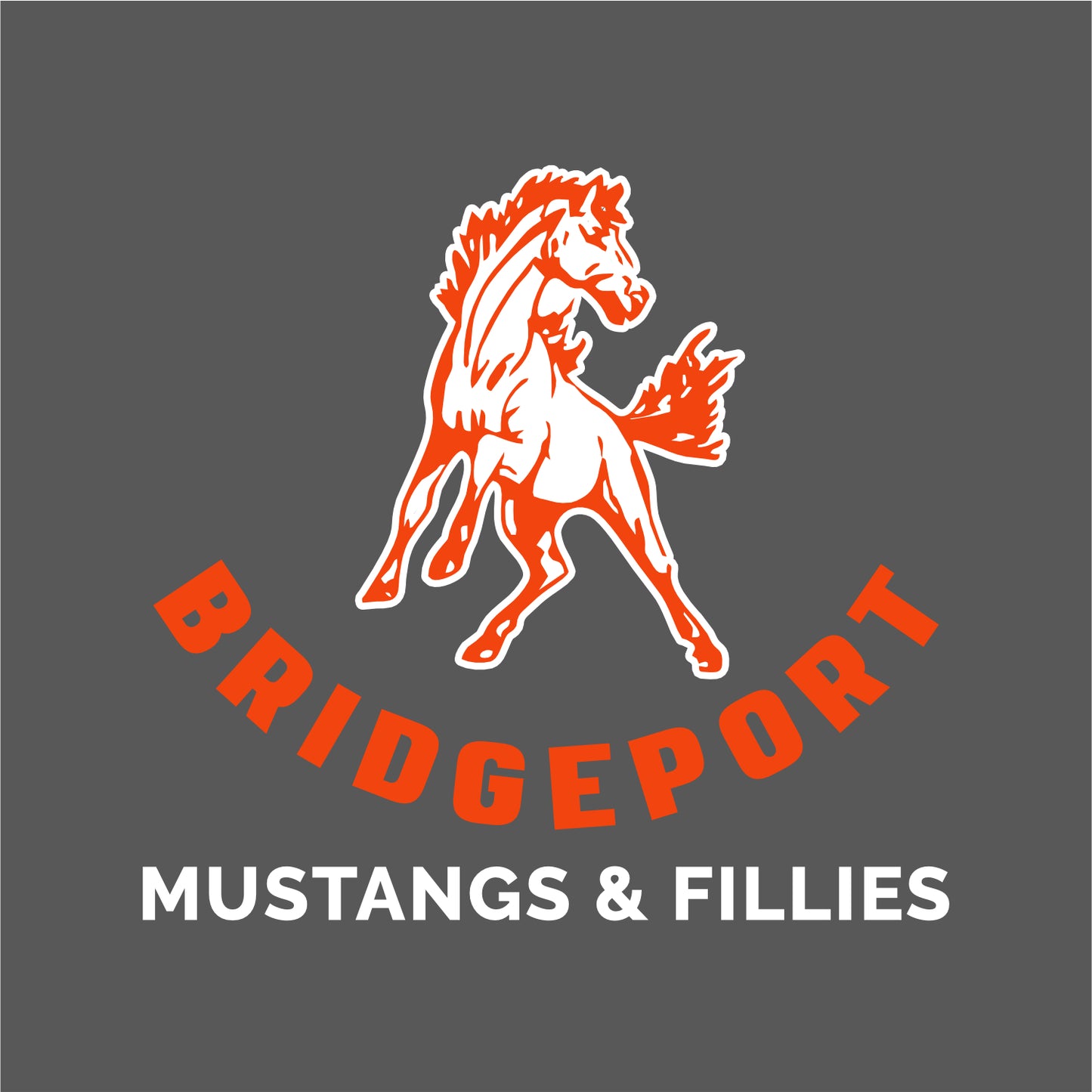 Bridgeport Elem Staff Soft Jersey Short Sleeve T-shirt