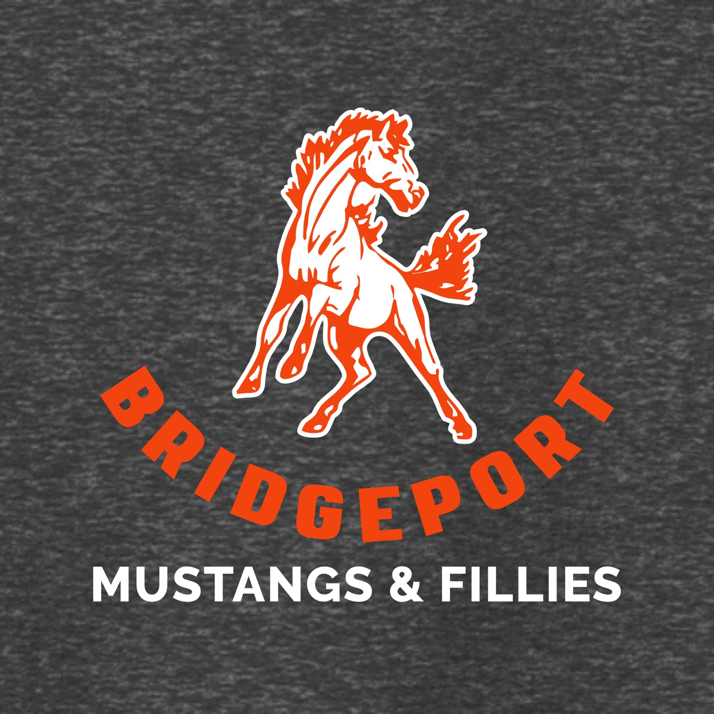 Bridgeport Elem Staff Tri-Blend 3/4 Sleeve Raglan Tee