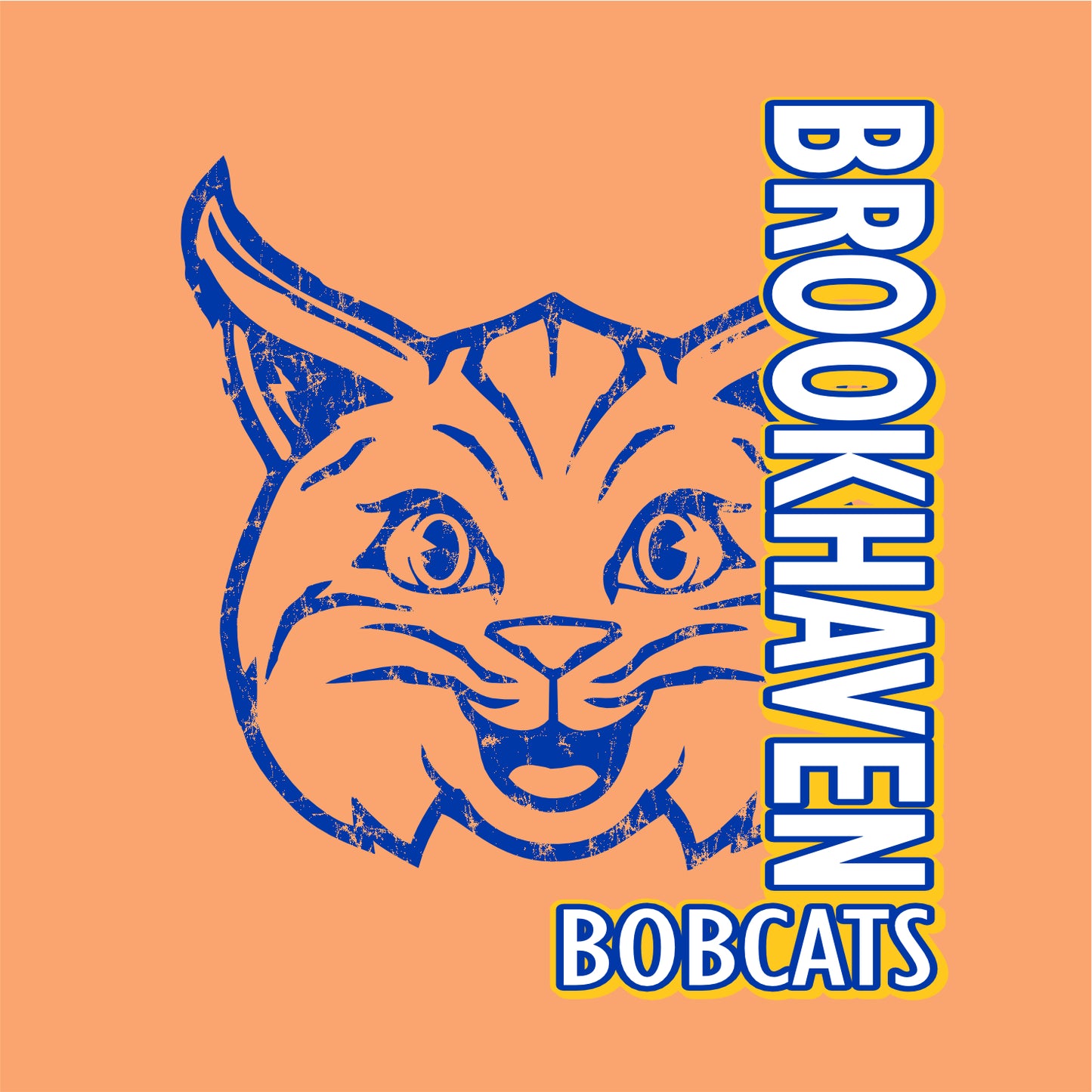 Brookhaven Elementary Performance Hooded Long Sleeve T - Des. A
