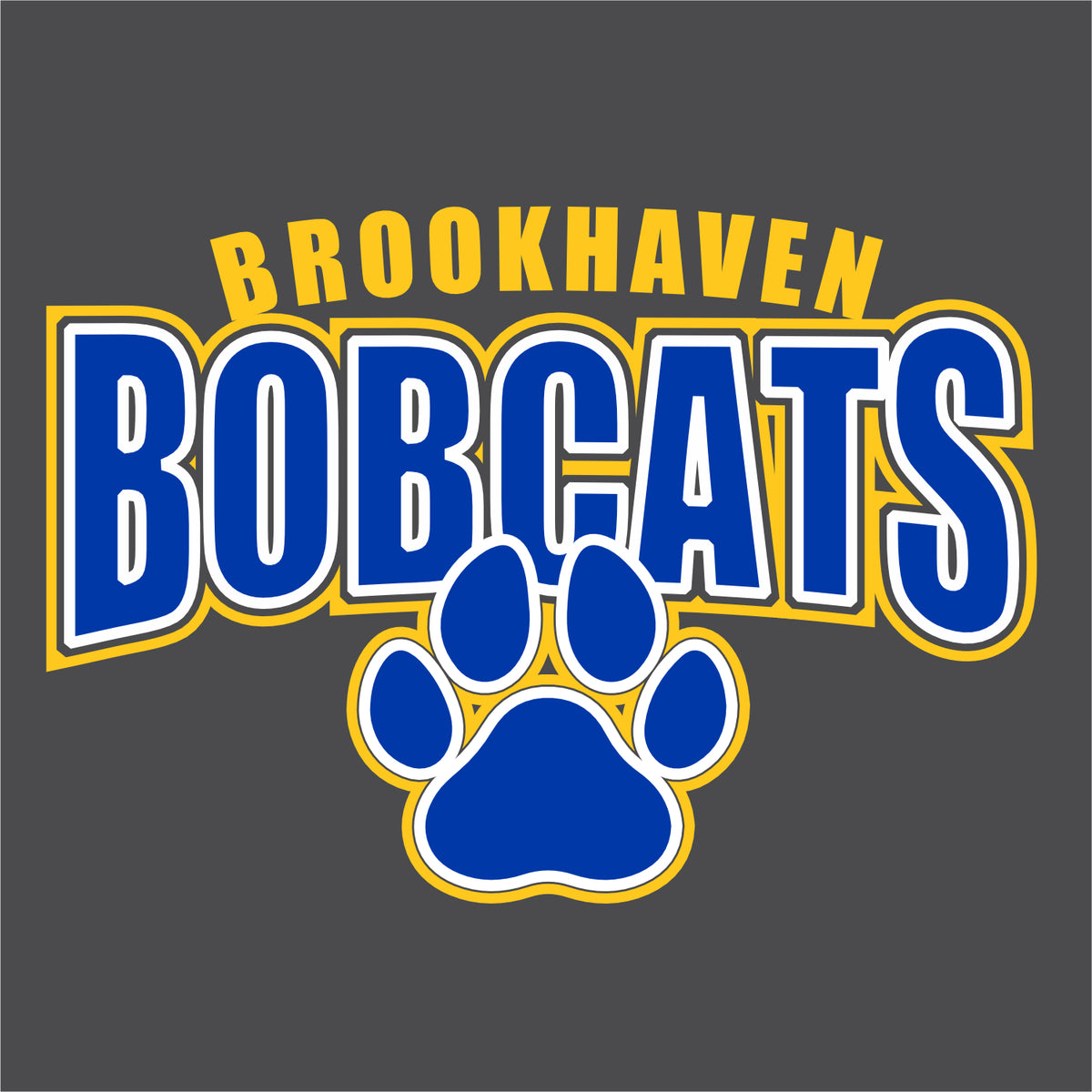 Brookhaven Elementary Hooded Sweatshirt - Des. B