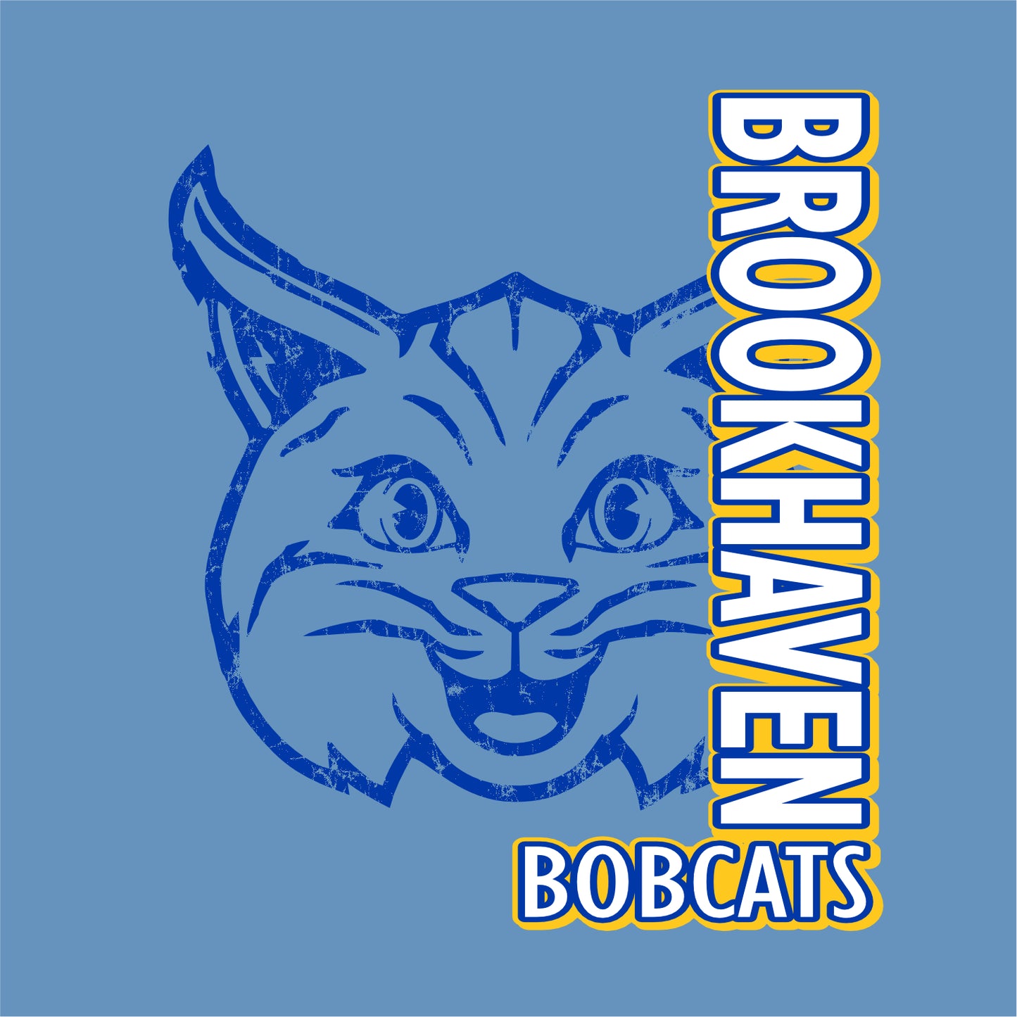 Brookhaven Elementary Hooded Sweatshirt - Des. A