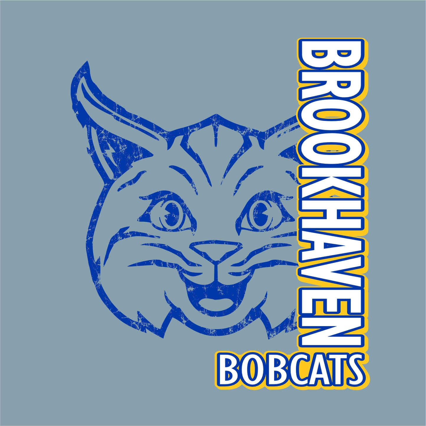 Brookhaven Elementary Heavyweight Cotton T-shirt - Des. A