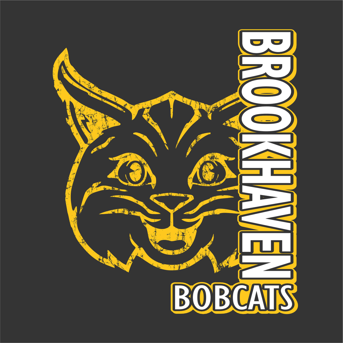 Brookhaven Elementary Elevated Fleece Hoodie - Des. A