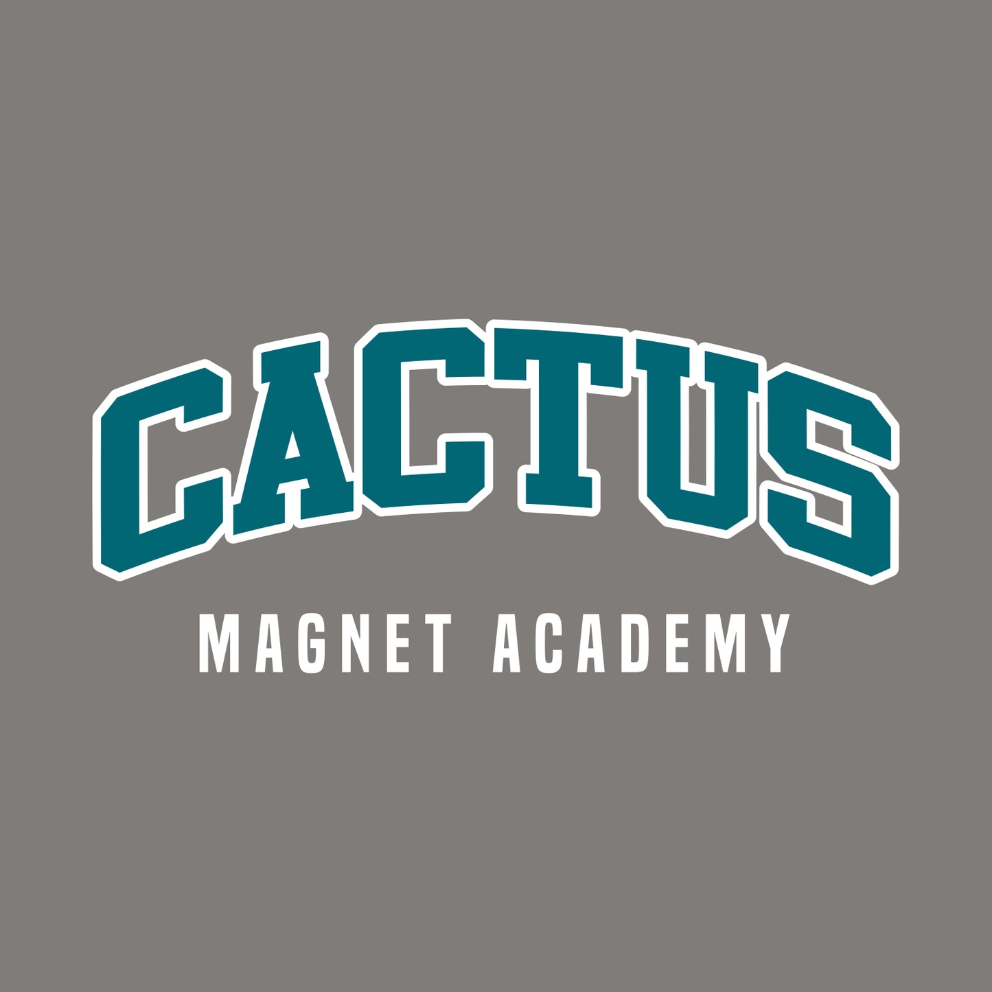 Cactus Magnet Academy Ladies Halftime Stripe Long Sleeve V-Neck Tee - Design A