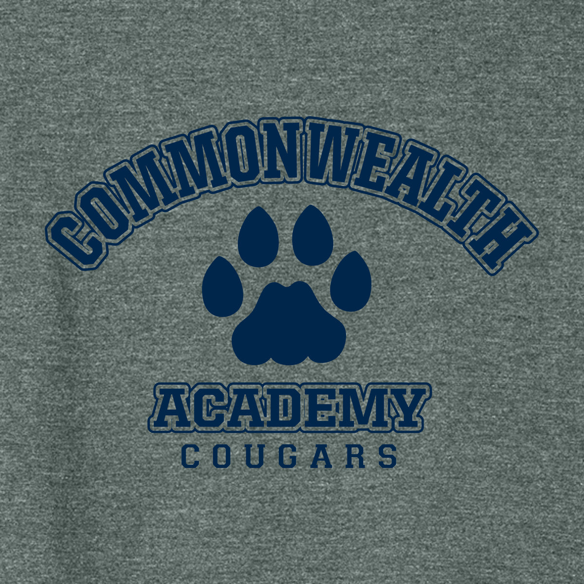 Commonwealth Academy Ladies Heathered Relaxed Jersey Tee - Des. A