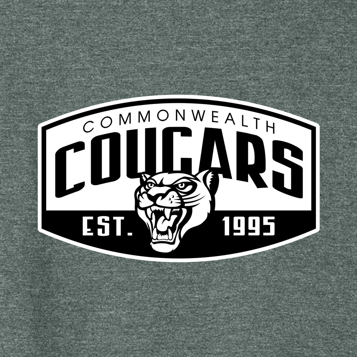 Commonwealth Academy Ladies Heathered Relaxed Jersey Tee - Des. B