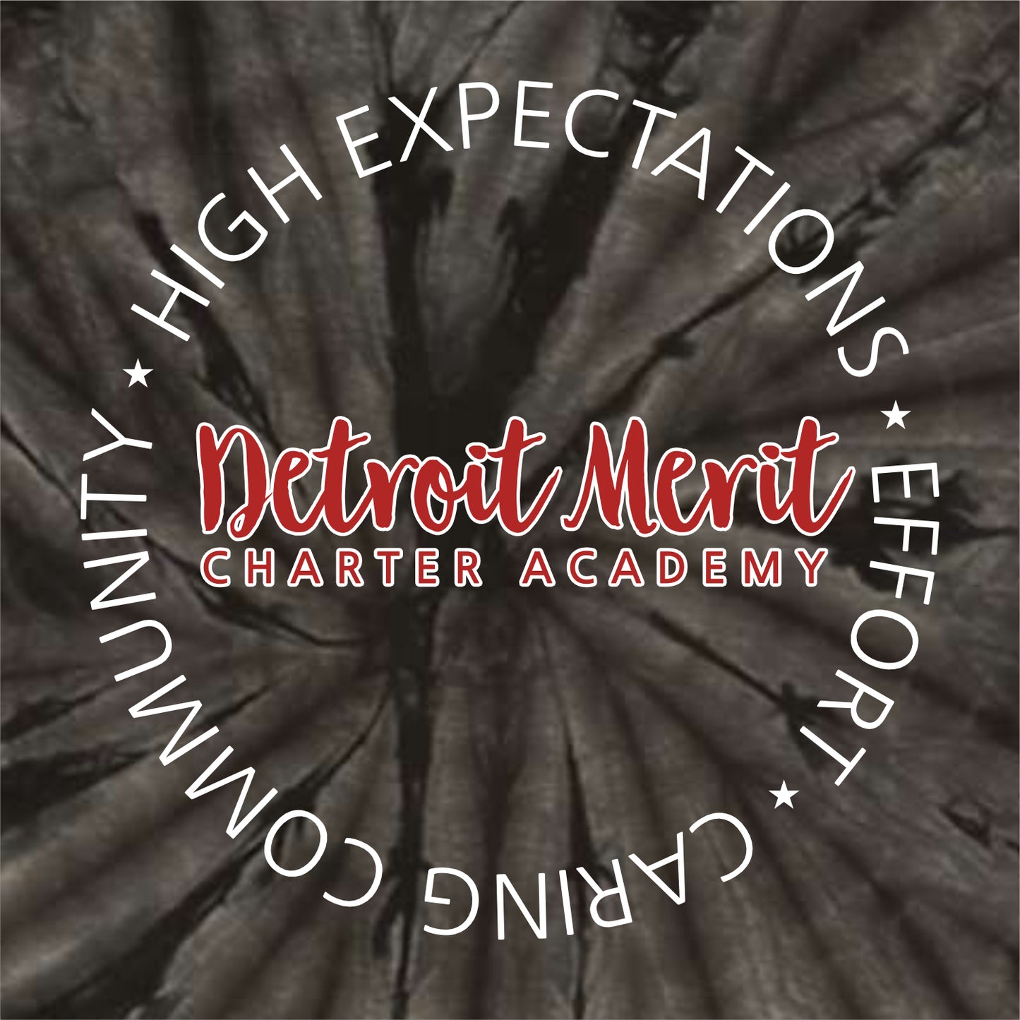 Detroit Merit Charter Spider Tie-Dye T-shirt