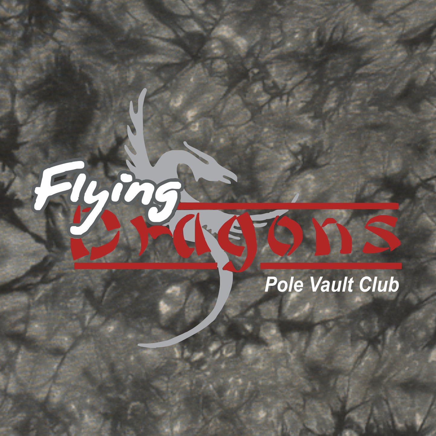 Flying Dragons Crystal Wash T-Shirt