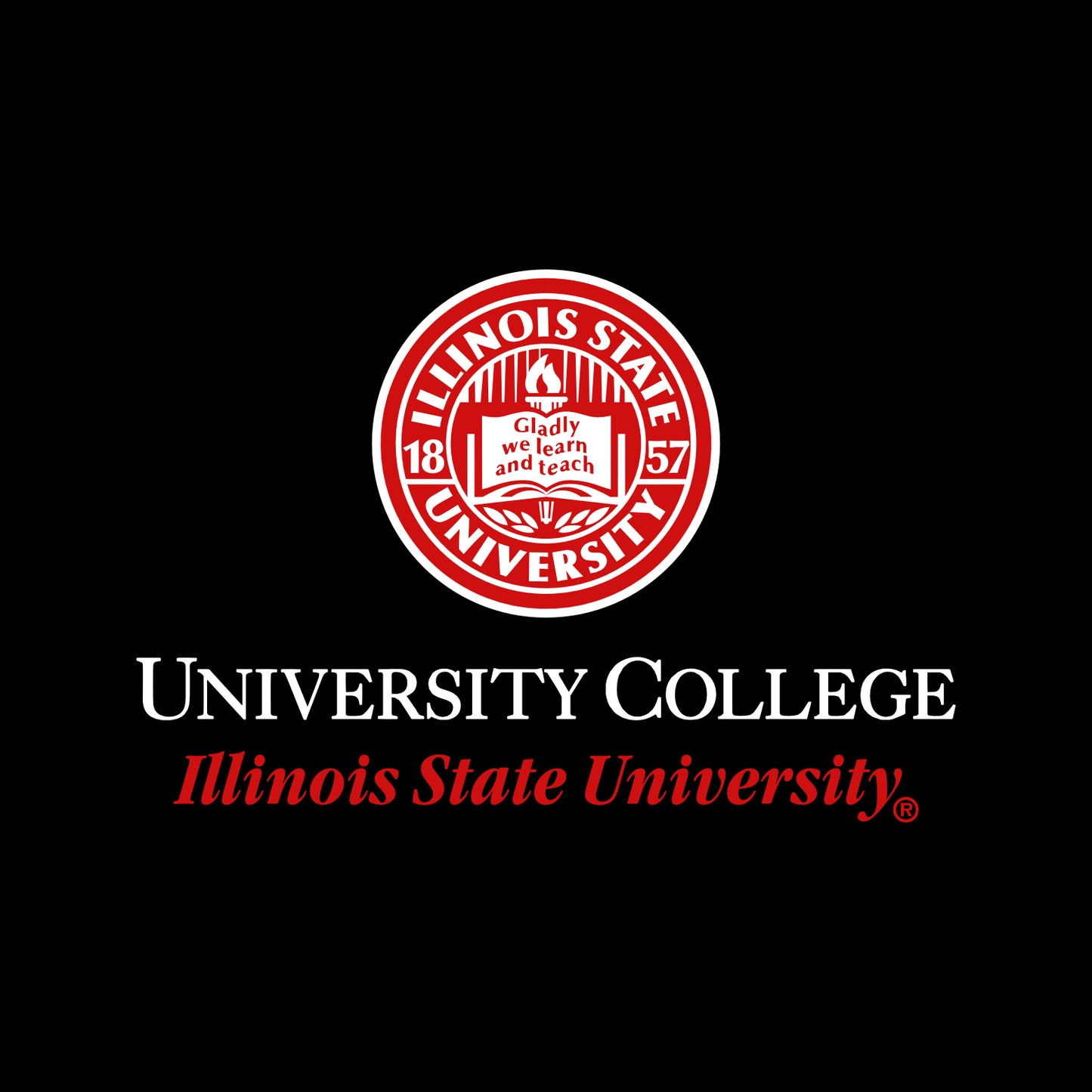 University College Easy Care Sweater Vest