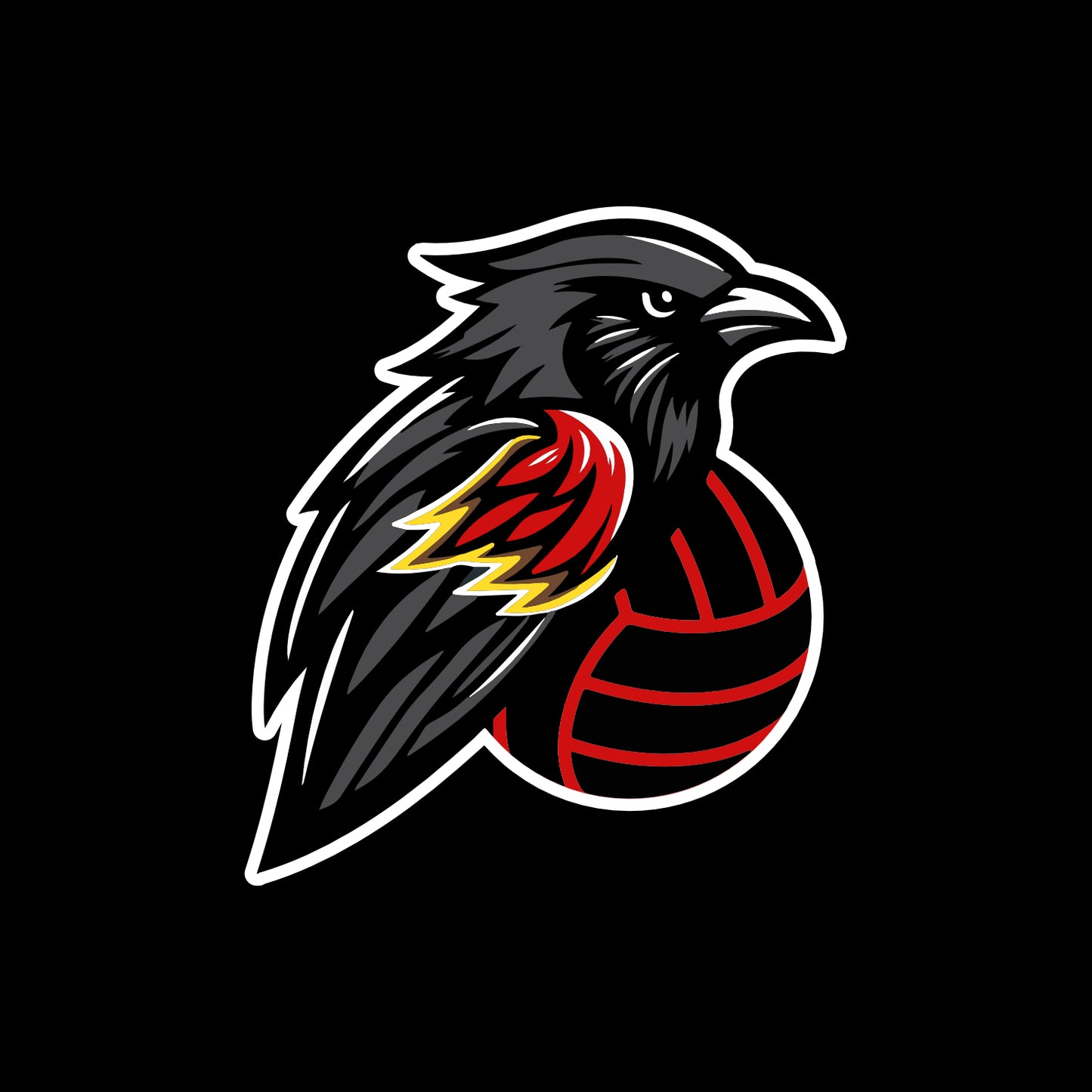 Normal Flight VBC Nike Brasilia Drawstring Gym Pack