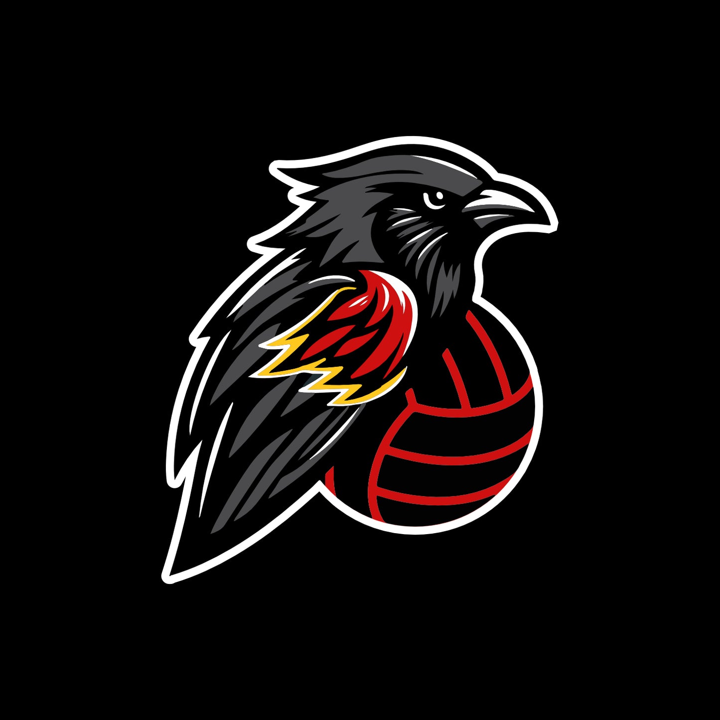 Normal Flight VBC Sherpa 1/4 Zip Pullover