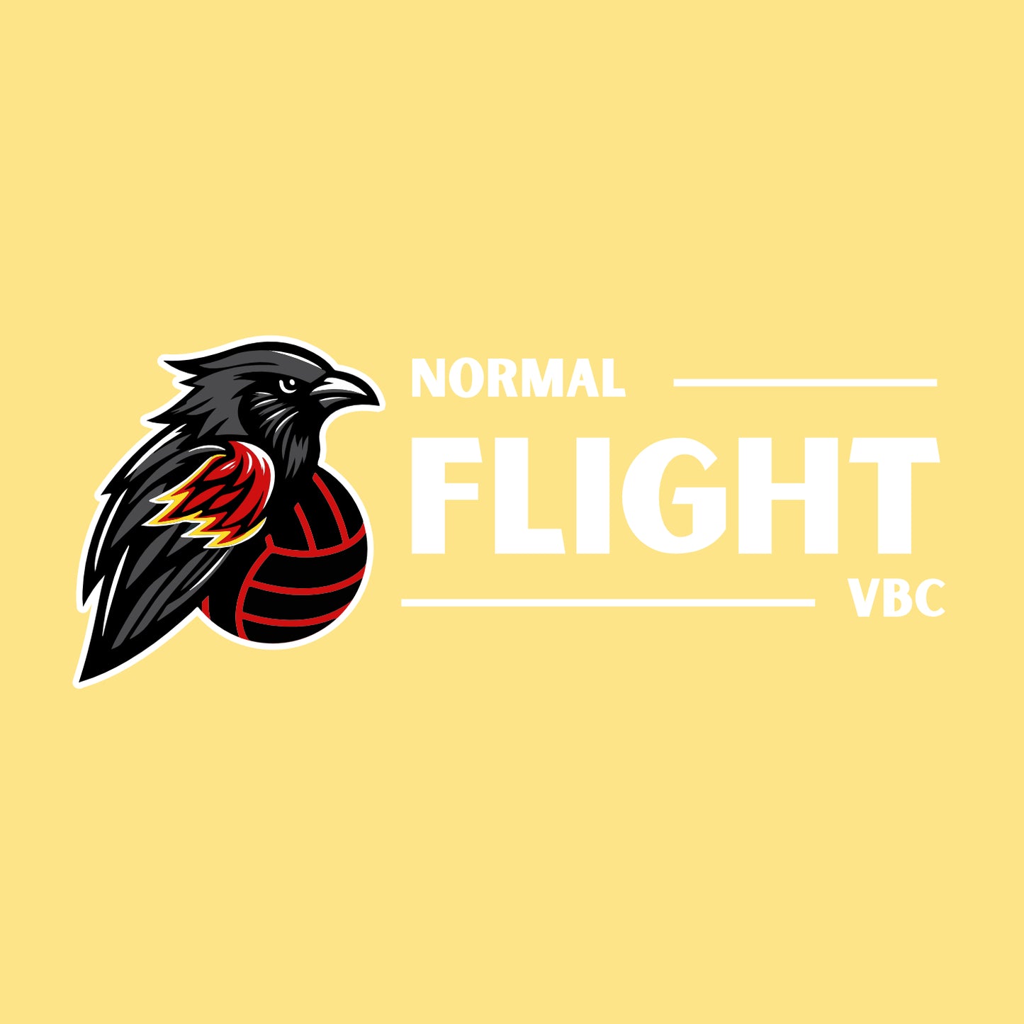Normal Flight VBC VIT Hooded Sweatshirt