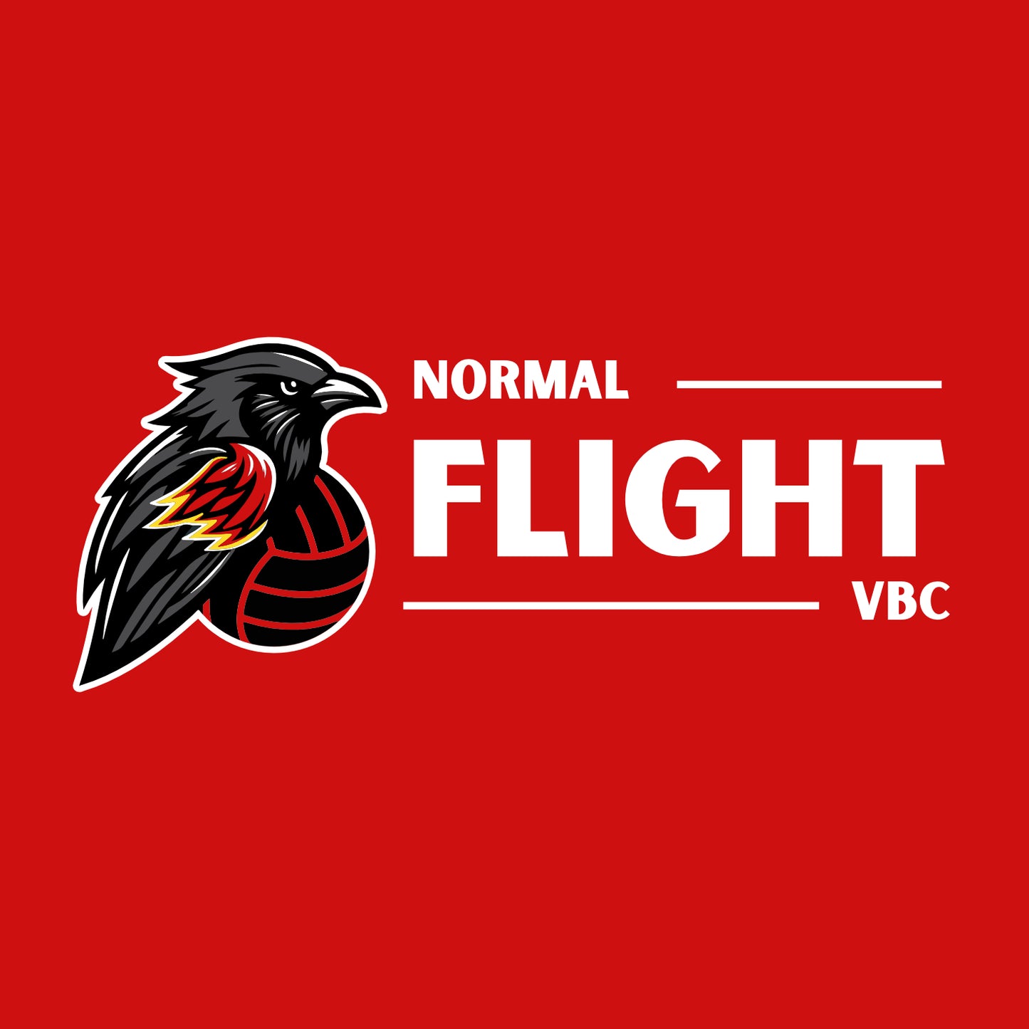 Normal Flight VBC Heathered Soft Jersey Long Sleeve T-shirt