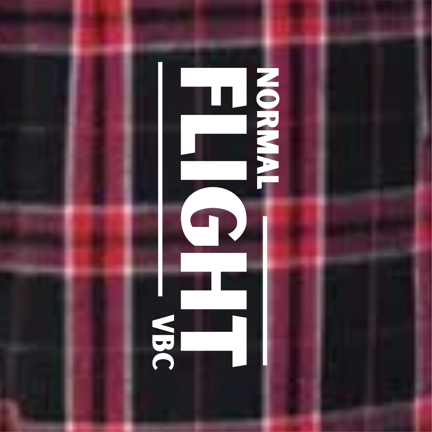 Normal Flight VBC Plaid Flannel Pants