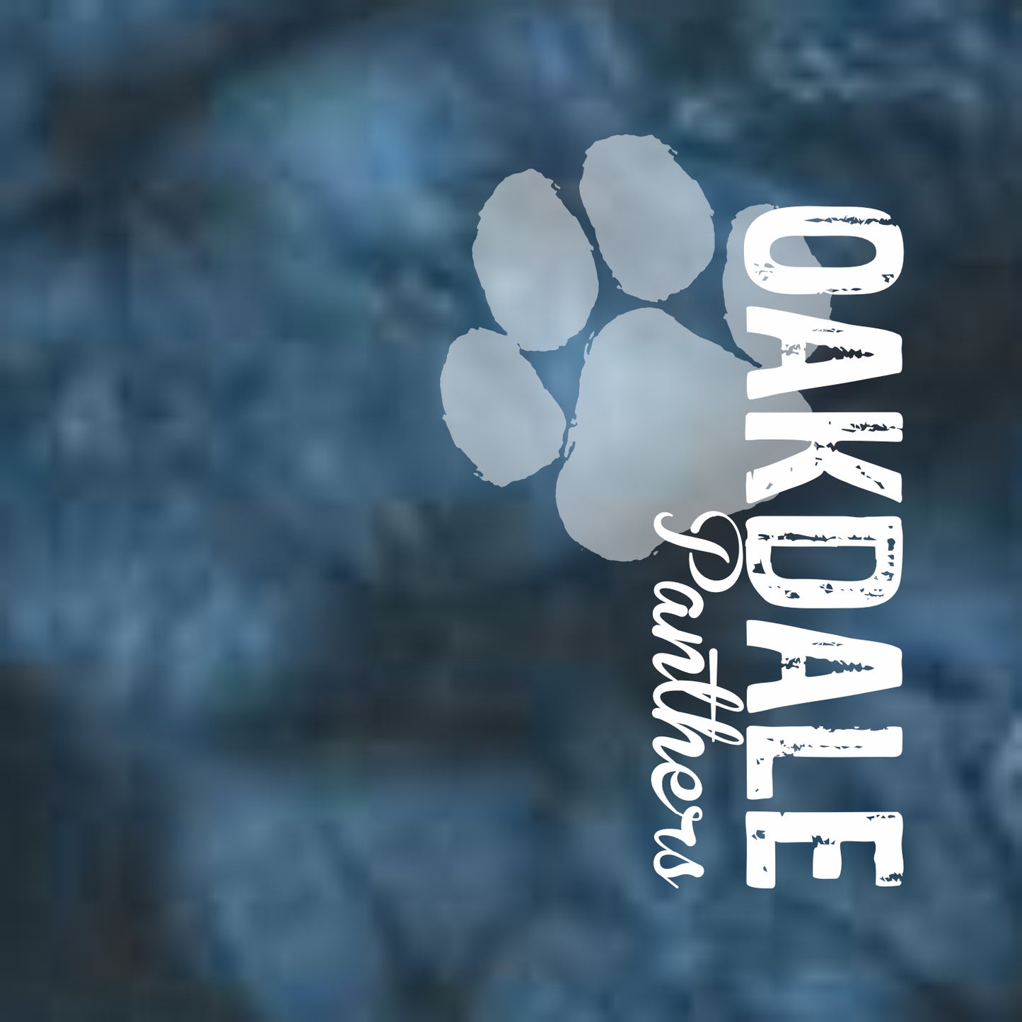 Oakdale Elementary Crystal Tie-Dye Hoodie