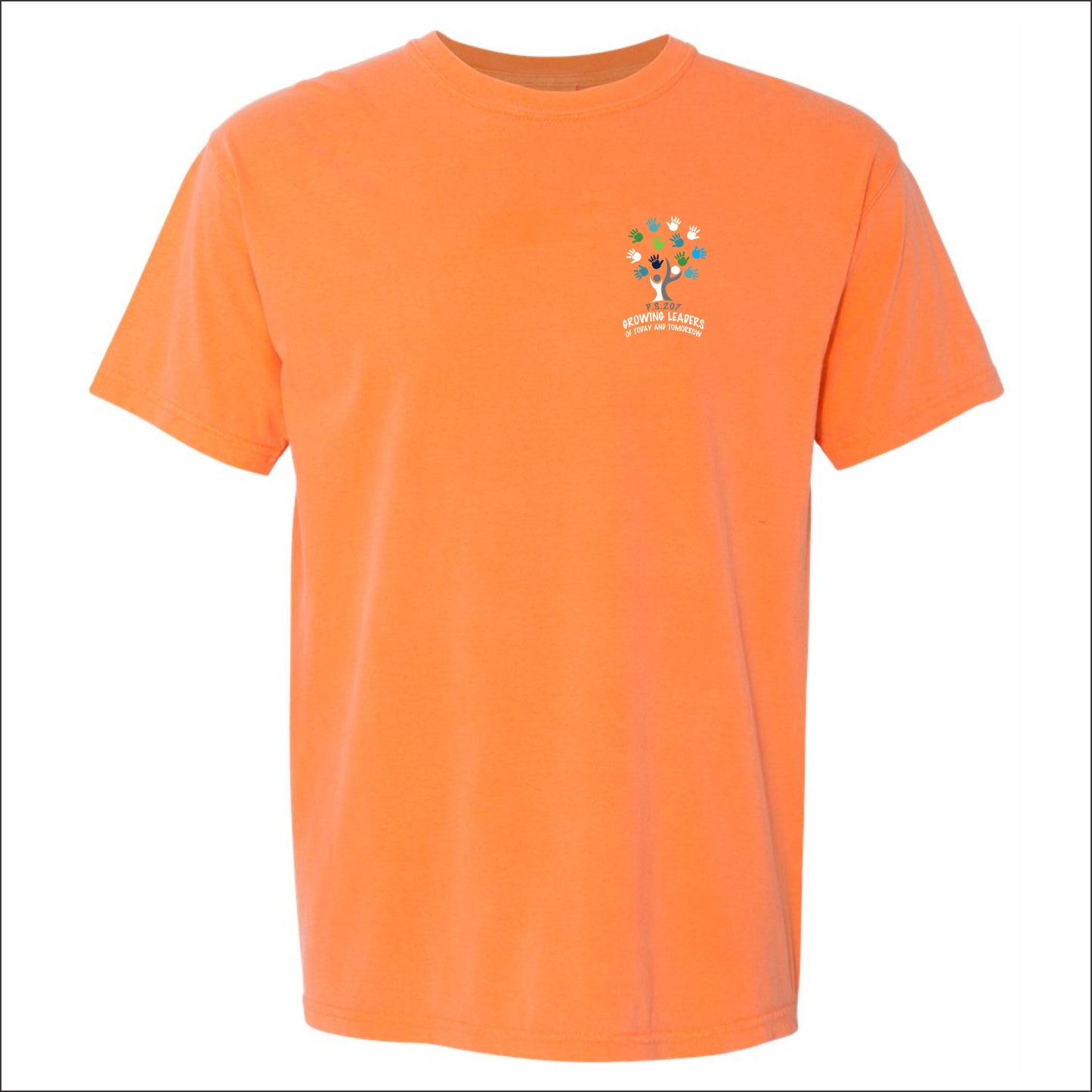 PS 207 Pigment Dye T-shirt