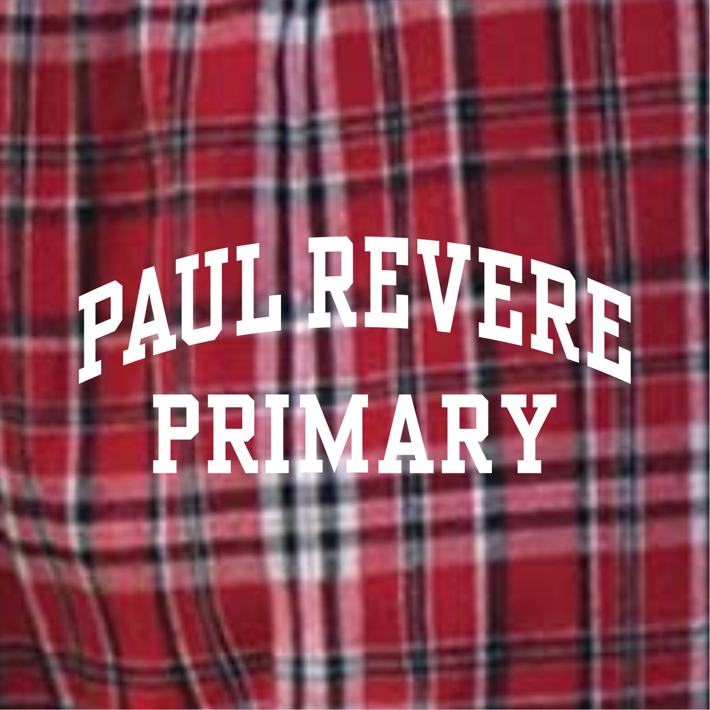 Paul Revere Primary Plaid Flannel Pants