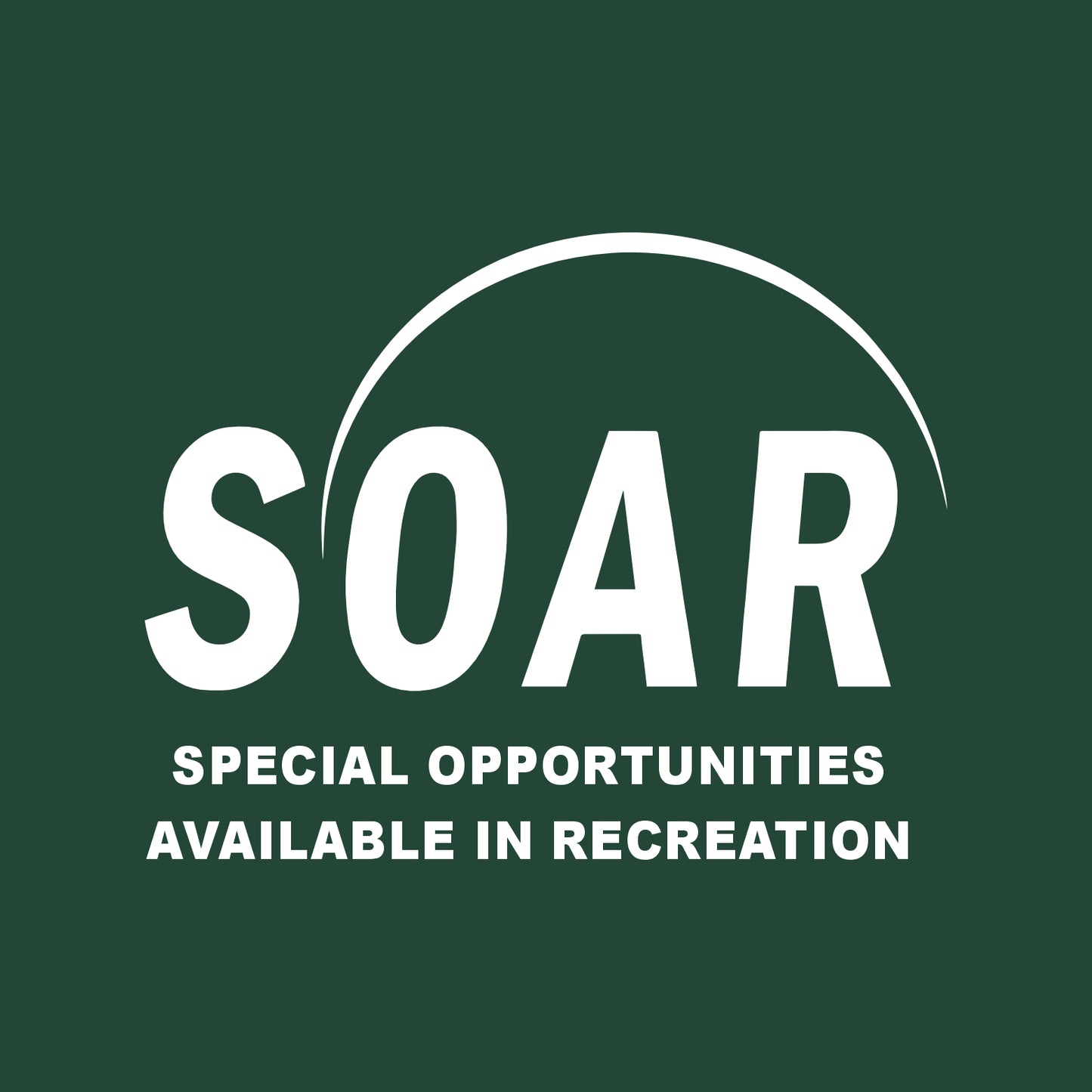 SOAR Hooded Sweatshirt - Design A
