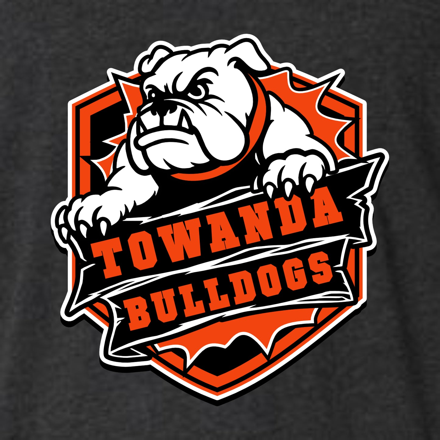 Towanda Elementary Vintage Football T-shirt