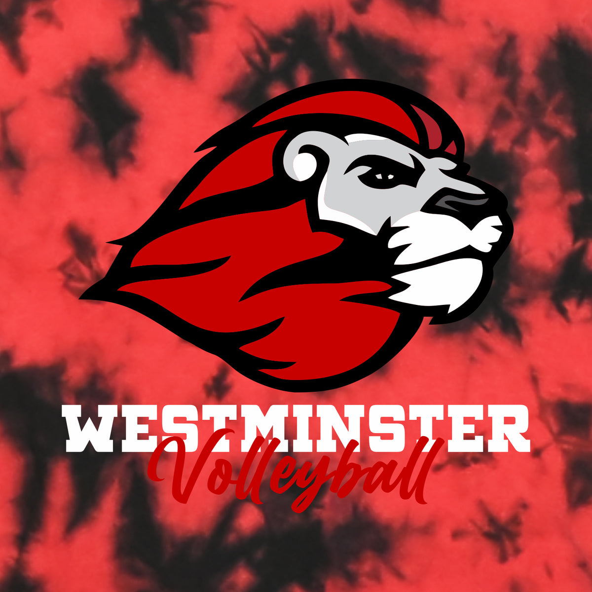 Westminster Volleyball Crystal Wash T-Shirt