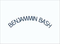 Benjammin Bash Adjustable Dad Hat