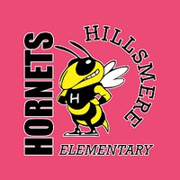 Hillsmere Elementary Ladies Vintage Football Tee - Des. A