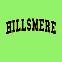 Hillsmere Elementary Hooded Sweatshirt - Des. B