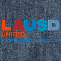 LAUSD Adapted PE Ladies Long Sleeve Denim Shirt