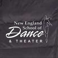 NE School of Dance Ladies Down Vest