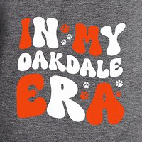 Oakdale Elementary Ladies Triblend Long Sleeve Raglan Tee