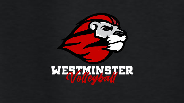 Westminster HS Volleyball