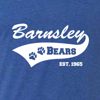 Barnsley Elementary Ladies Vintage Football T
