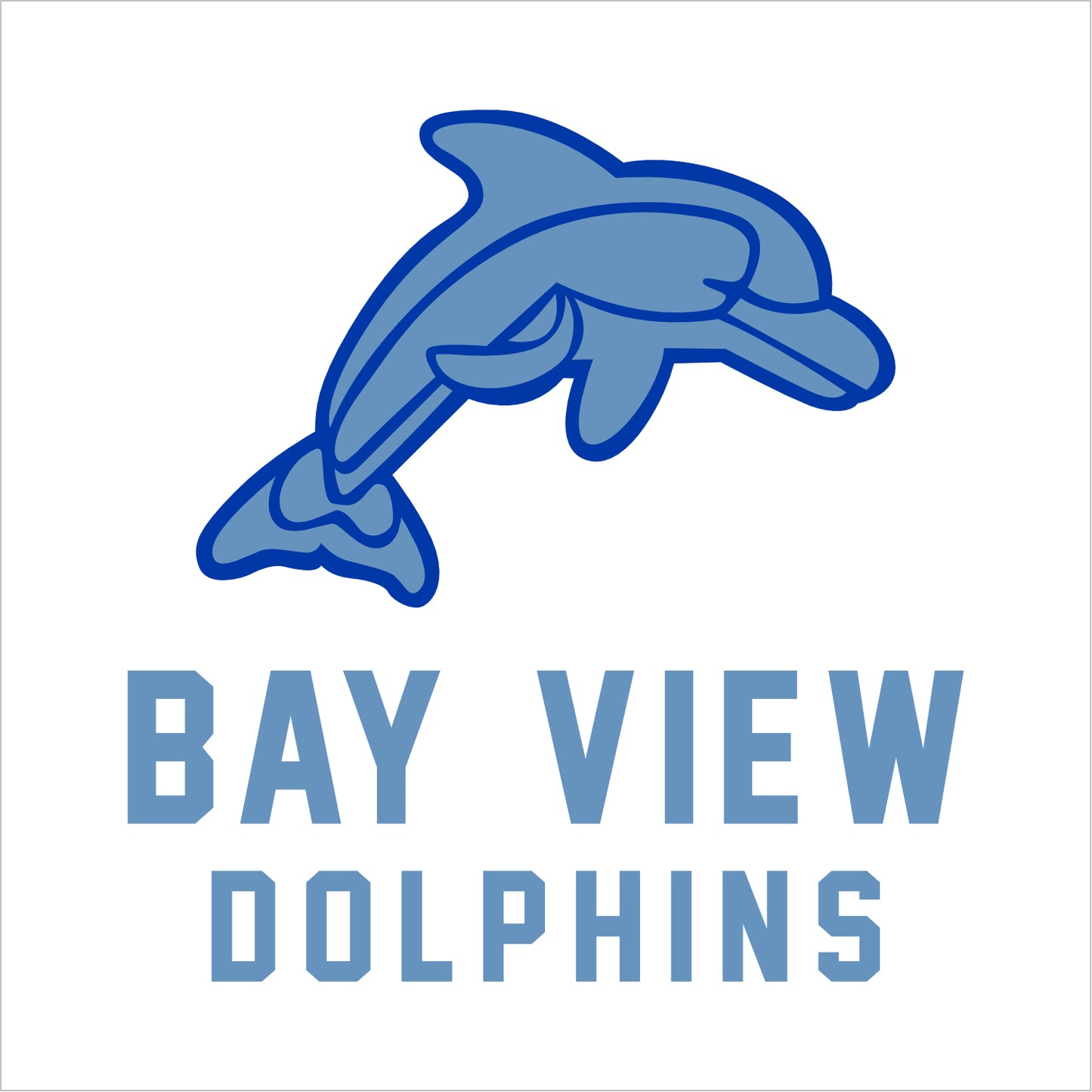 Bay View Elementary Gameday Scarf