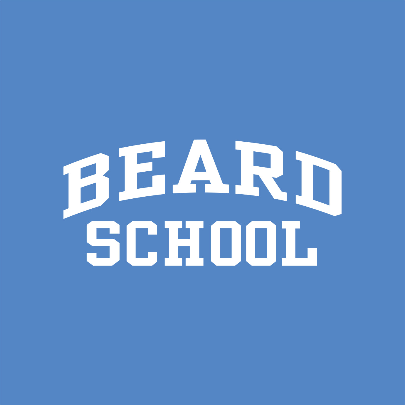Beard School Allmade Sustainable Ladies V-Neck Tee - EMB