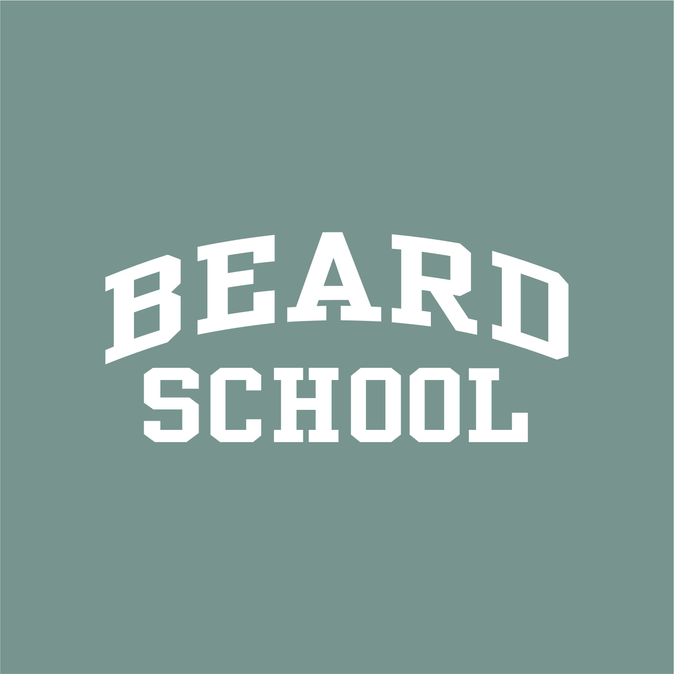 Beard School Allmade Sustainable Ladies V-Neck Tee - EMB