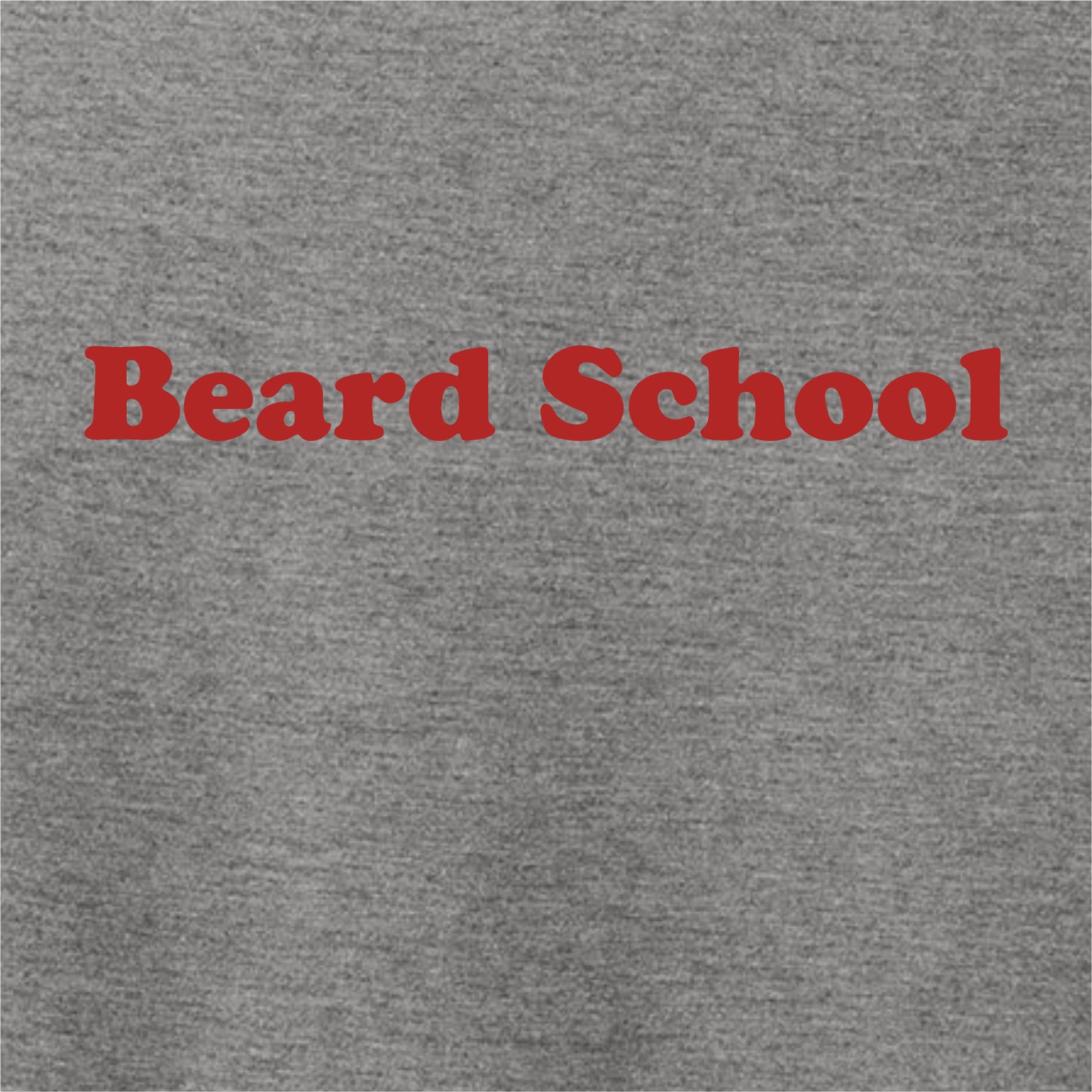 Beard School Allmade Sustainable Ladies V-Neck Tee