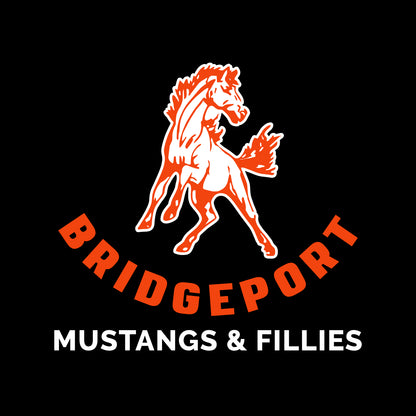 Bridgeport Elem Staff Chill Fleece Vest