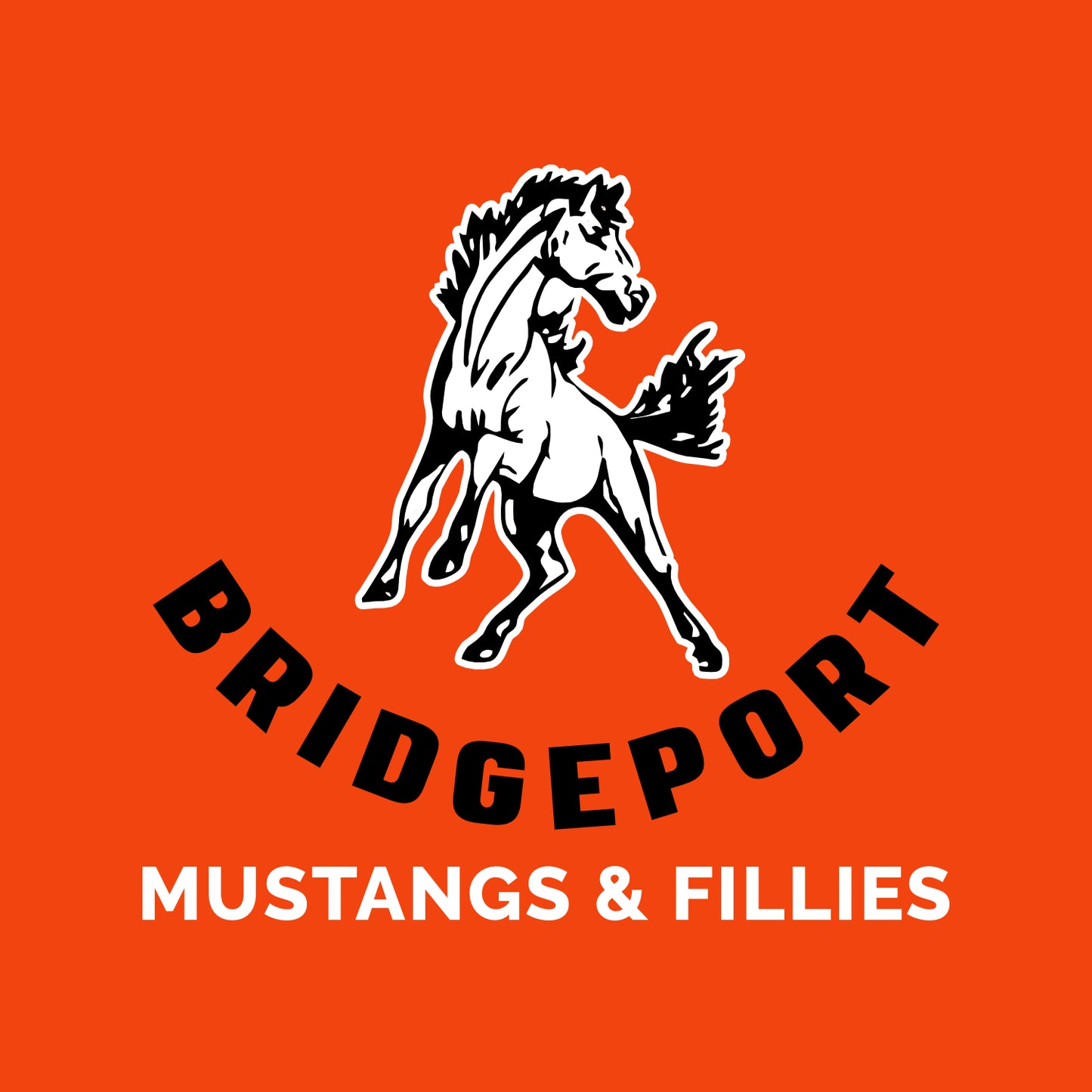Bridgeport Elem Staff NIKE Dri-Fit Performance T-shirt