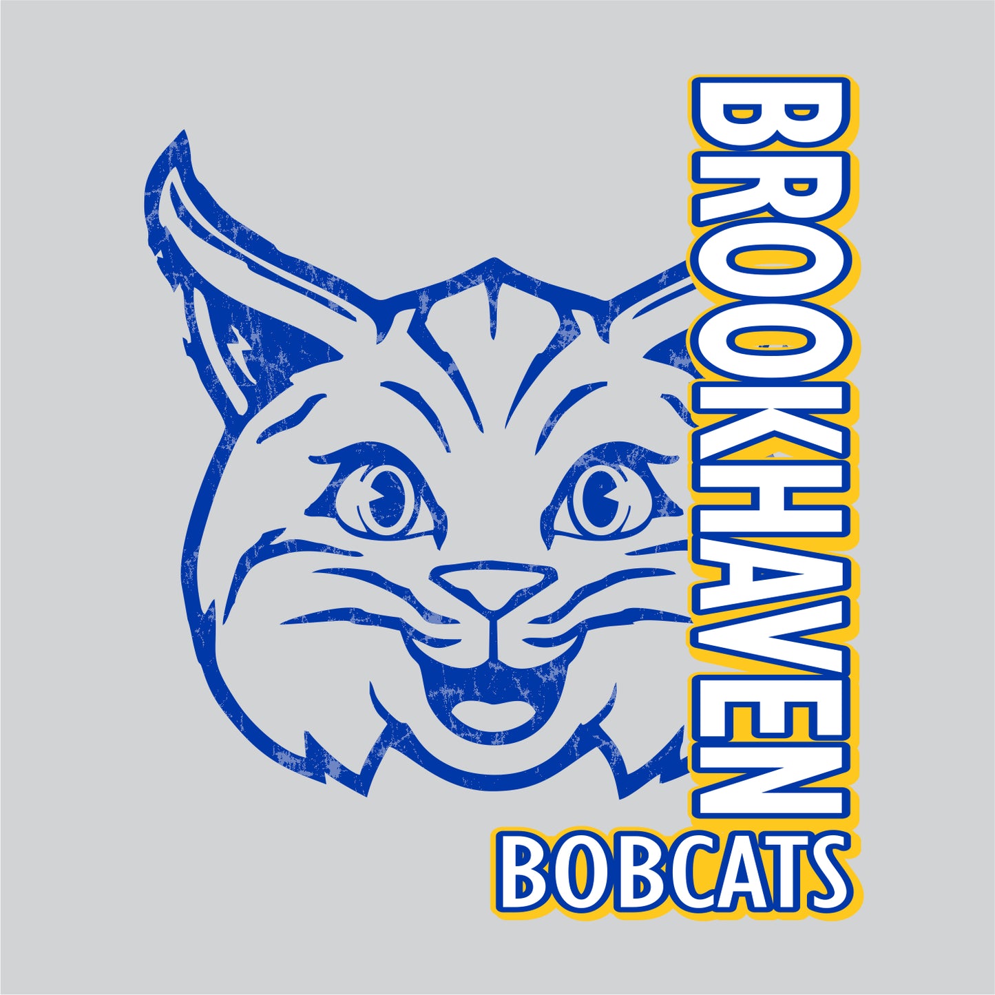 Brookhaven Elementary Hooded Sweatshirt - Des. A