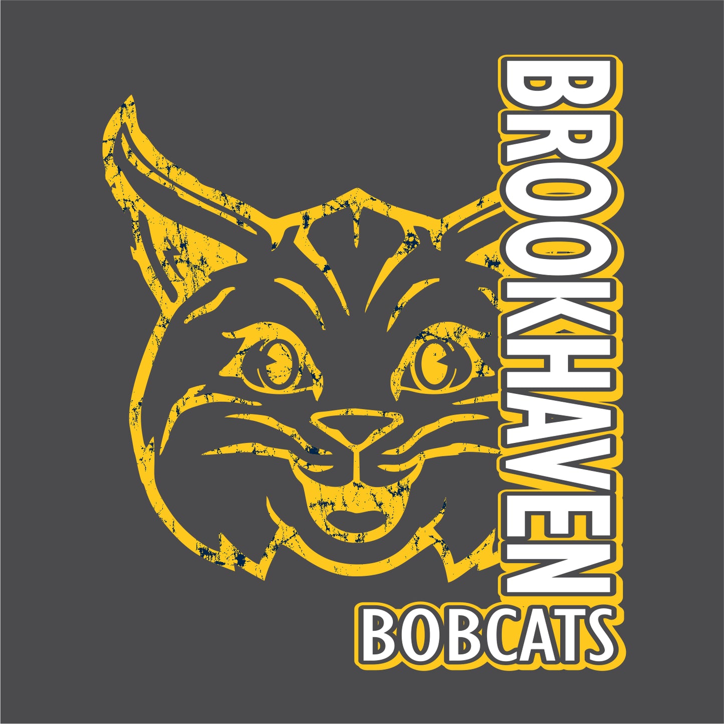 Brookhaven Elementary Hooded Sweatshirt - Des. A