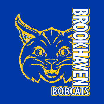 Brookhaven Elementary Hooded Sweatshirt - Des. A