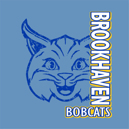 Brookhaven Elementary Hooded Sweatshirt - Des. A