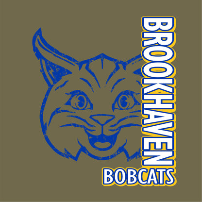 Brookhaven Elementary Elevated Fleece Hoodie - Des. A