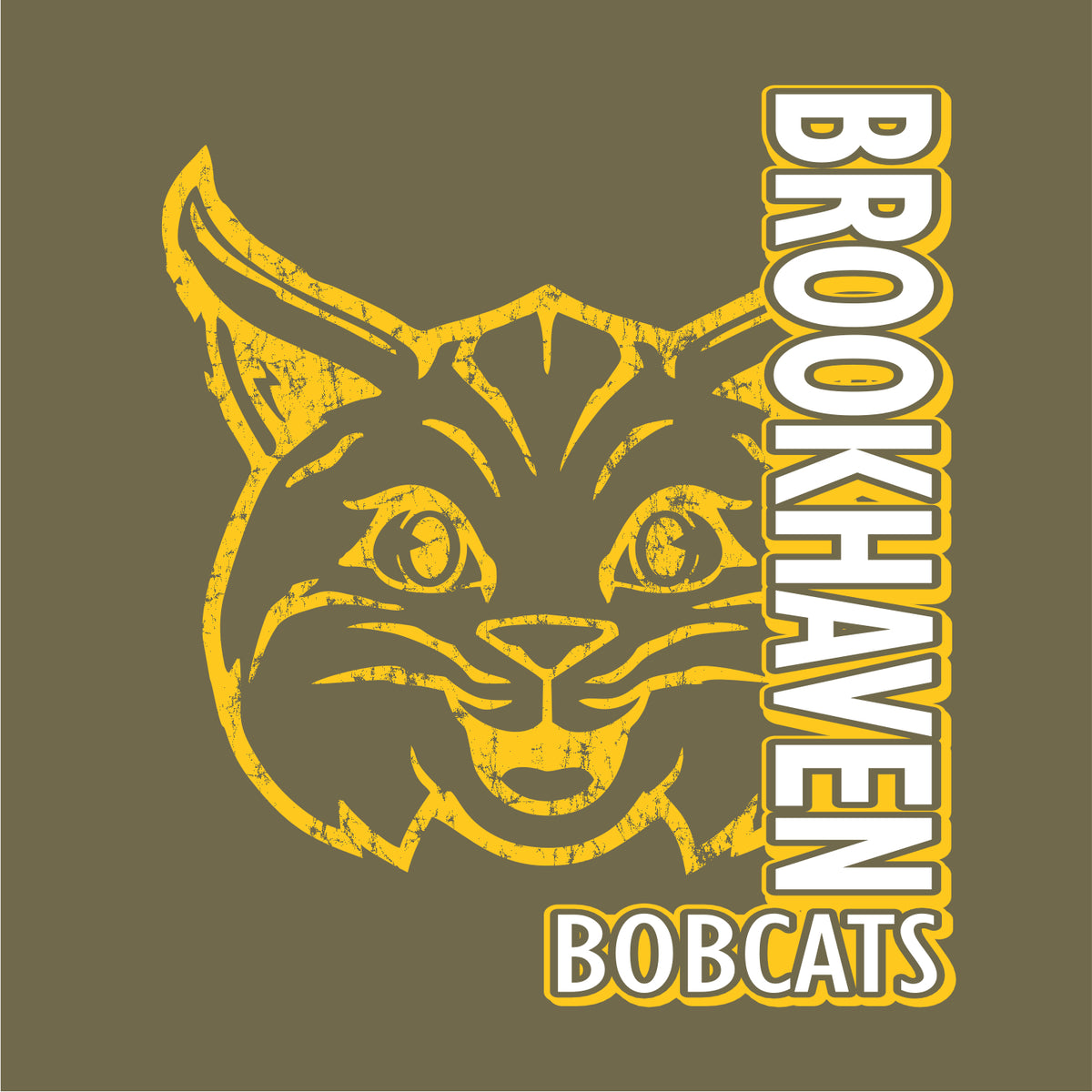 Brookhaven Elementary Elevated Fleece Hoodie - Des. A