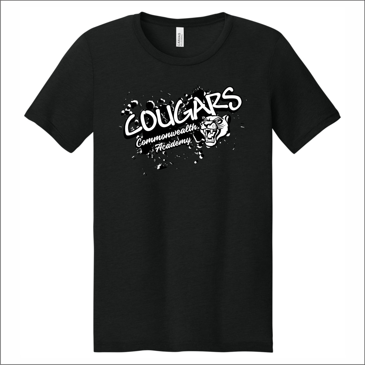 Commonwealth Academy Tri-blend T-shirt - Des. C