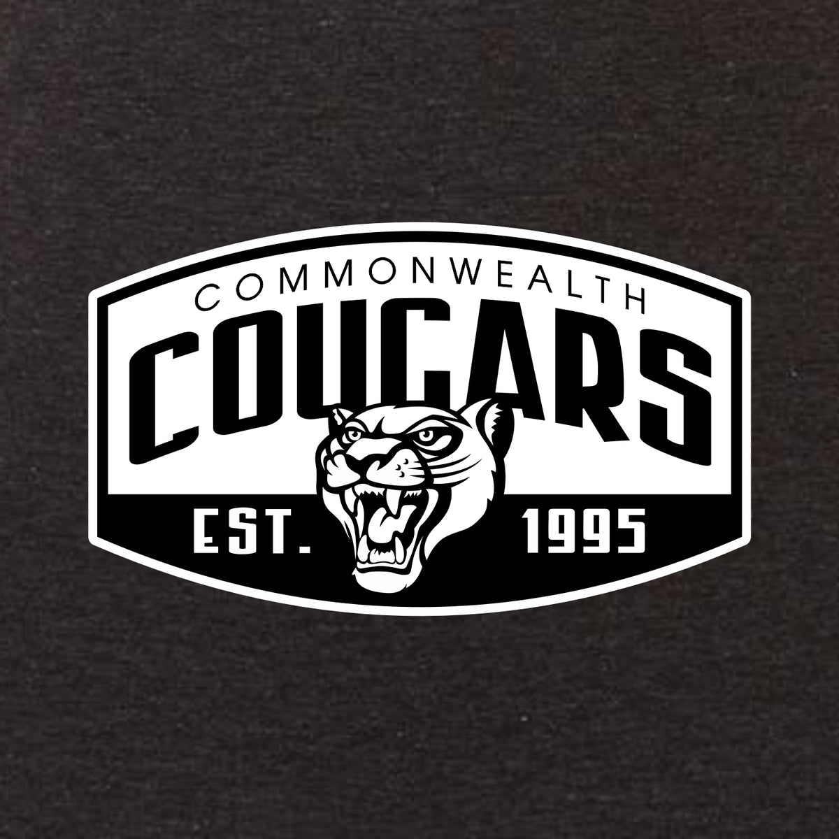 Commonwealth Academy Tri-blend T-shirt - Des. B