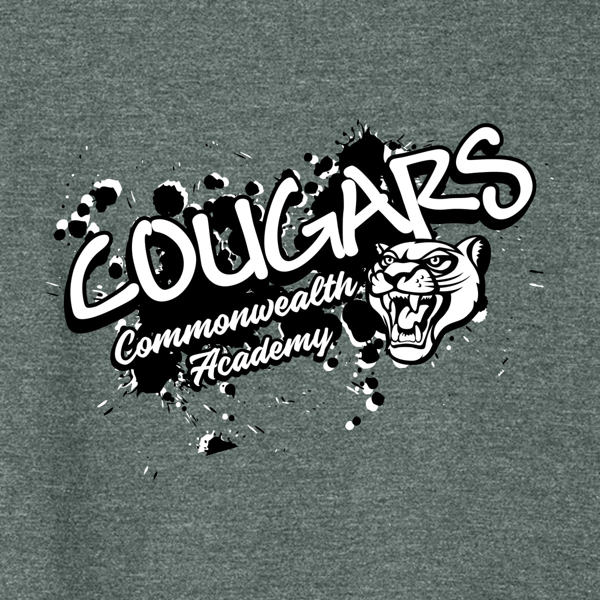 Commonwealth Academy Ladies Heathered Relaxed Jersey Tee - Des. C